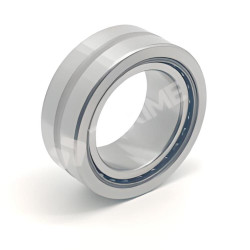 Needle Roller Bearings  NA4917R